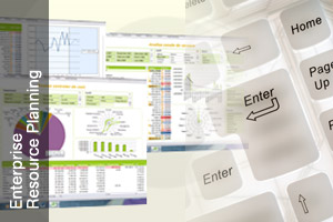 Enterprise Resource Planning